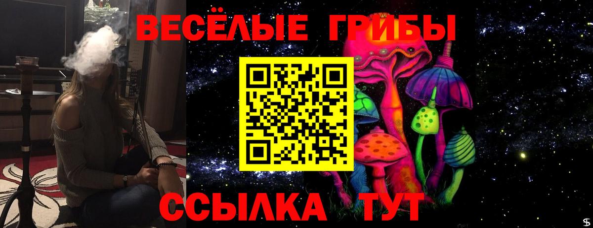 Брянск  Псилоцибиновые грибы Cubensis  Вход с VPN 